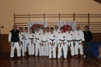DAN-Prüfungen 2013