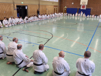 69e81a86-028c-4aa1-ac3b-cc158fffc5fd