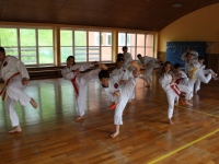 ATSC00019.jpg