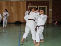 ATSC00035.jpg