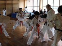 ATSC00049.jpg