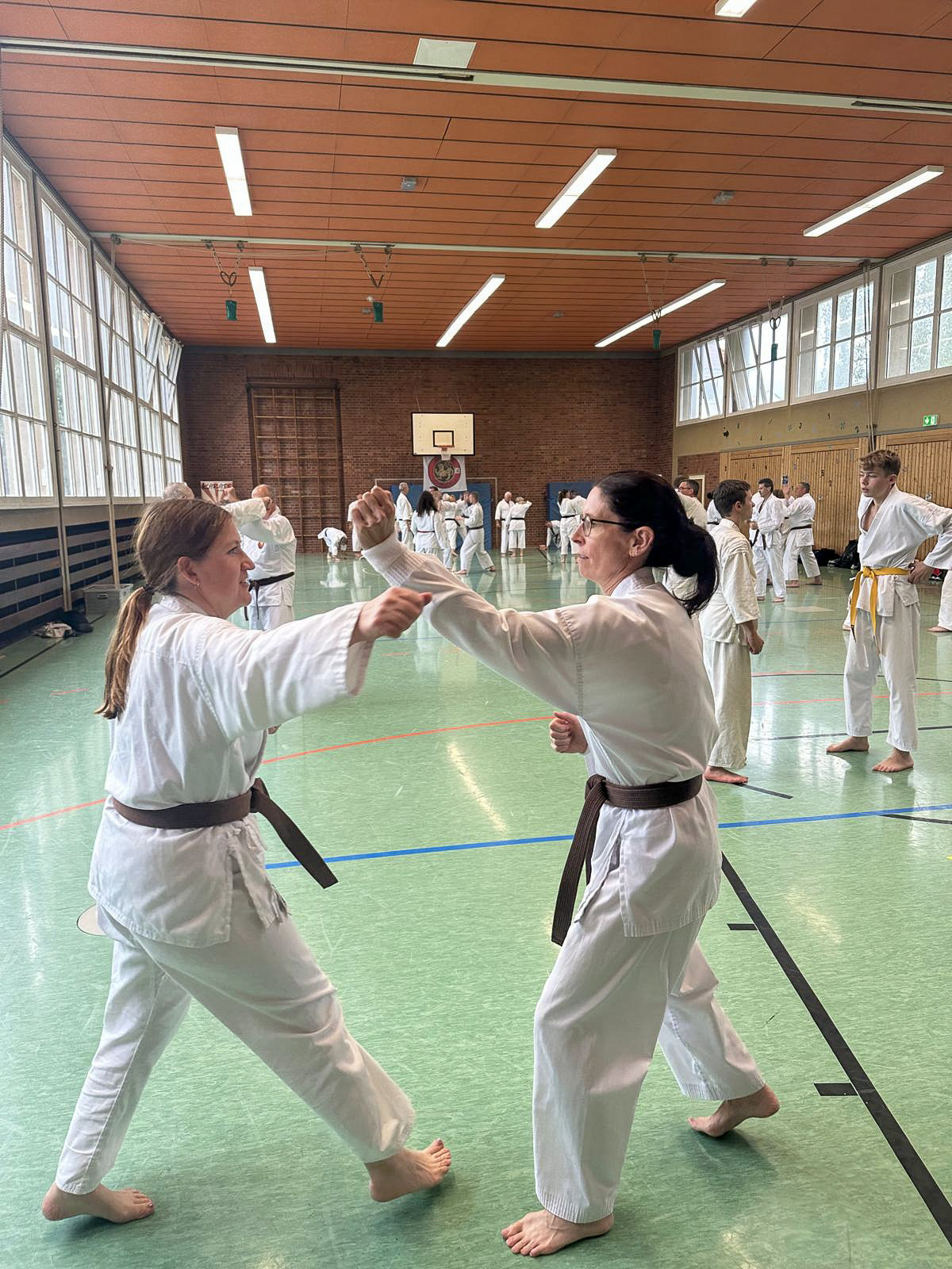 budokan-goettingen-10-partnertechnik