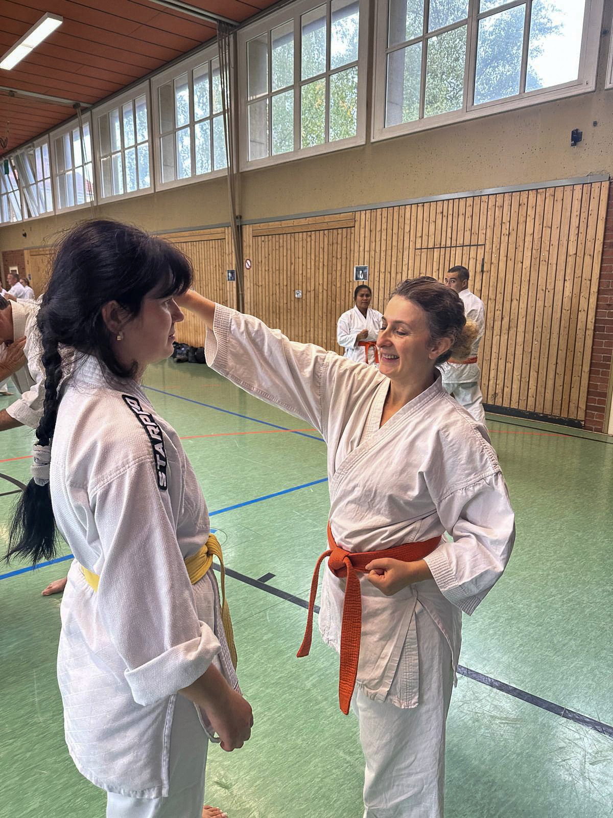 budokan-goettingen-serie2-02-partneruebung