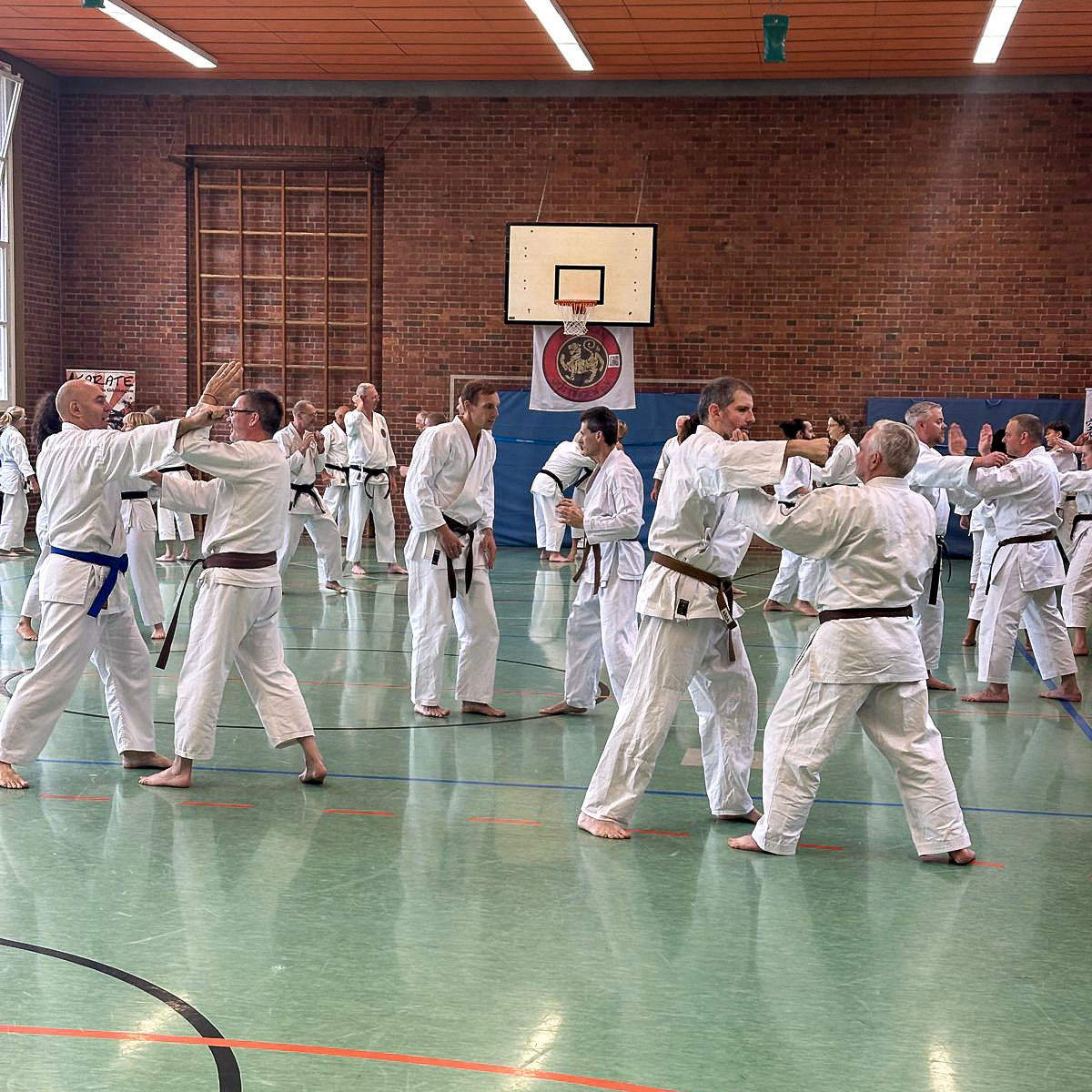 budokan-goettingen-serie2-09-training-gruppe