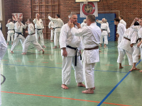 budokan-goettingen-01-partnertraining