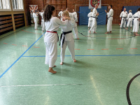 budokan-goettingen-05-partneruebung