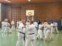 budokan-goettingen-07-partnertraining-detail