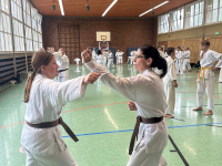 budokan-goettingen-10-partnertechnik