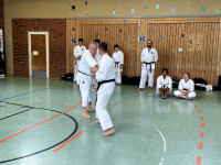 budokan-goettingen-14-lehrgang-technik