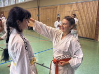 budokan-goettingen-serie2-02-partneruebung