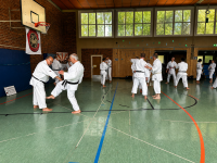 05_budokan_kata_bunkai_20-06-2026