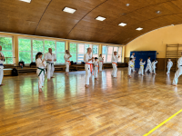 11_budokan_kata_bunkai_20-06-2026
