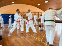 12_budokan_kata_bunkai_20-06-2026