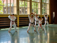 13_budokan_kata_bunkai_20-06-2026