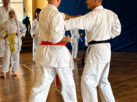 14_budokan_kata_bunkai_20-06-2026