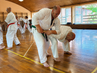 20_budokan_kata_bunkai_20-06-2026
