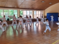 830181dc-4769-4241-9ae2-387573feaeaa