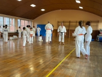 8c94a79a-8db2-43a6-9771-da0b3aa79b8c