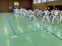 c3637d44-5a5f-41de-9d95-e4fb9fb686f4