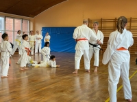 d2fb6b2c-13c8-4686-a3bc-85f305ceb2c2