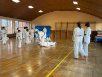 f0ed785e-84b7-4455-84ac-4fa9ad2e4204