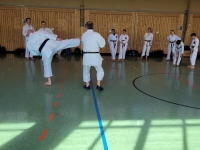 86061e37-5bb3-4328-bbfe-55ce1e2cffcd