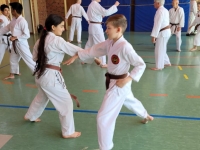 cfc60b1a-7253-46ec-ac51-f19571d8d79c